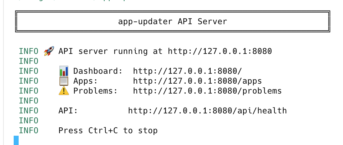 app-updater: API Server starten